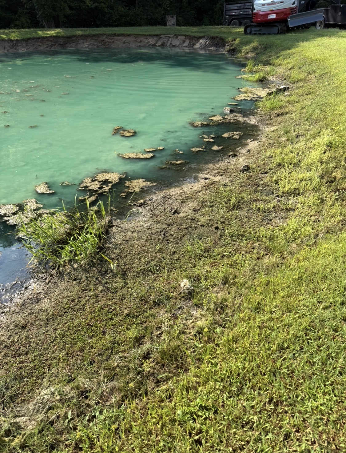 A clean pond with shaped banks and tidy shoreline